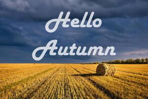 The words Hello Autumn on the background of field with golden haystacks. Greeting card. The concept of the beginning of autumn. photo