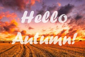 The words Hello Autumn on the background of field with golden haystacks. Greeting card. The concept of the beginning of autumn. photo