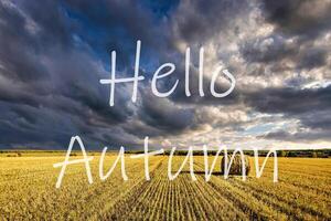 The words Hello Autumn on the background of field with golden haystacks. Greeting card. The concept of the beginning of autumn. photo