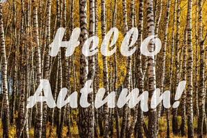 The words Hello Autumn on the background of birch forest with golden leaved. Greeting card. The concept of the beginning of autumn. photo