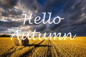 The words Hello Autumn on the background of field with golden haystacks. Greeting card. The concept of the beginning of autumn. photo