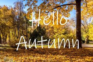 The words Hello Autumn on the background of autumn park lit by sun in golden autumn season. Greeting card. The concept of the beginning of autumn. photo