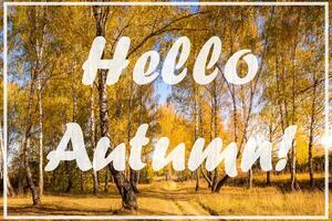 The words Hello Autumn on the background of birch forest with golden leaved. Greeting card. The concept of the beginning of autumn. photo