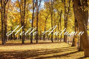The words Hello Autumn on the background of autumn park lit by sun in golden autumn season. Greeting card. The concept of the beginning of autumn. photo