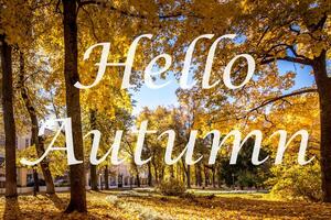 The words Hello Autumn on the background of autumn park lit by sun in golden autumn season. Greeting card. The concept of the beginning of autumn. photo