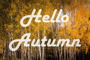 The words Hello Autumn on the background of birch forest with golden leaved. Greeting card. The concept of the beginning of autumn. photo