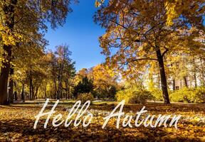 The words Hello Autumn on the background of autumn park lit by sun in golden autumn season. Greeting card. The concept of the beginning of autumn. photo