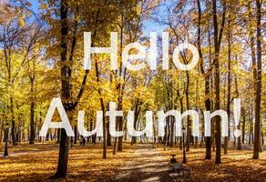 The words Hello Autumn on the background of autumn park lit by sun in golden autumn season. Greeting card. The concept of the beginning of autumn. photo