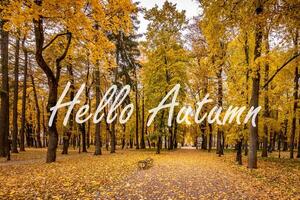 The words Hello Autumn on the background of autumnal city park with trees with golden leaves. Greeting card. The concept of the beginning of autumn. photo