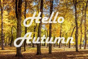 The words Hello Autumn on the background of autumn park lit by sun in golden autumn season. Greeting card. The concept of the beginning of autumn. photo