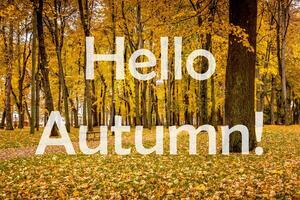 The words Hello Autumn on the background of autumnal city park with trees with golden leaves. Greeting card. The concept of the beginning of autumn. photo