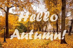The words Hello Autumn on the background of autumn park lit by sun in golden autumn season. Greeting card. The concept of the beginning of autumn. photo