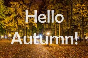 The words Hello Autumn on the background of night city park with fallen leaves and trees. Greeting card. The concept of the beginning of autumn. photo
