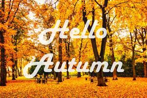 The words Hello Autumn on the background of autumnal city park with trees with golden leaves. Greeting card. The concept of the beginning of autumn. photo