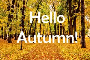 The words Hello Autumn on the background of autumnal city park with trees with golden leaves. Greeting card. The concept of the beginning of autumn. photo