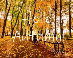 The words Hello Autumn on the background of autumnal city park with trees with golden leaves. Greeting card. The concept of the beginning of autumn. photo