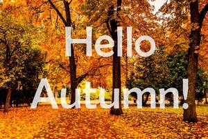 The words Hello Autumn on the background of autumnal city park with trees with golden leaves. Greeting card. The concept of the beginning of autumn. photo
