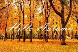 The words Hello Autumn on the background of autumnal city park with trees with golden leaves. Greeting card. The concept of the beginning of autumn. photo