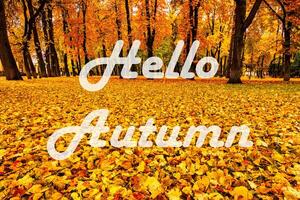 The words Hello Autumn on the background of autumnal city park with trees with golden leaves. Greeting card. The concept of the beginning of autumn. photo