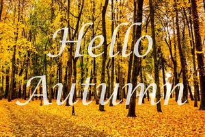 The words Hello Autumn on the background of autumnal city park with trees with golden leaves. Greeting card. The concept of the beginning of autumn. photo