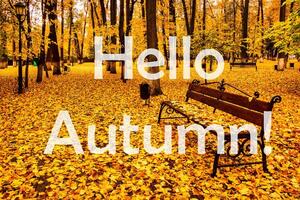 The words Hello Autumn on the background of autumnal city park with trees with golden leaves. Greeting card. The concept of the beginning of autumn. photo