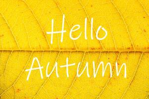 The words Hello Autumn on the background of yellow autumn leaf with veins. Greeting card. The concept of the beginning of autumn. photo