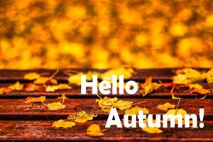The words Hello Autumn on the background of bench with golden fallen leaves. Greeting card. The concept of the beginning of autumn. photo