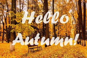 The words Hello Autumn on the background of autumnal city park with trees with golden leaves. Greeting card. The concept of the beginning of autumn. photo