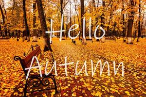 The words Hello Autumn on the background of autumnal city park with trees with golden leaves. Greeting card. The concept of the beginning of autumn. photo