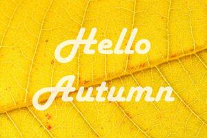 The words Hello Autumn on the background of yellow autumn leaf with veins. Greeting card. The concept of the beginning of autumn. photo