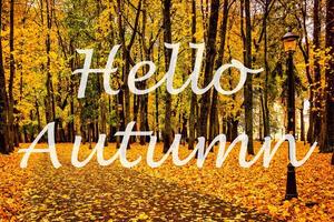 The words Hello Autumn on the background of autumnal city park with trees with golden leaves. Greeting card. The concept of the beginning of autumn. photo