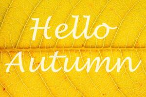 The words Hello Autumn on the background of yellow autumn leaf with veins. Greeting card. The concept of the beginning of autumn. photo