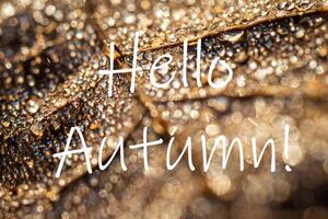 The words Hello Autumn on the background of autumn fallen leaf with dew drops. Greeting card. The concept of the beginning of autumn. photo