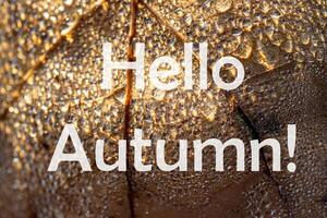 The words Hello Autumn on the background of autumn fallen leaf with dew drops. Greeting card. The concept of the beginning of autumn. photo