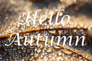 The words Hello Autumn on the background of autumn fallen leaf with dew drops. Greeting card. The concept of the beginning of autumn. photo