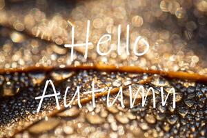 The words Hello Autumn on the background of autumn fallen leaf with dew drops. Greeting card. The concept of the beginning of autumn. photo
