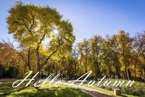 The words Hello Autumn on the background of autumn park lit by sun in golden autumn season. Greeting card. The concept of the beginning of autumn. photo