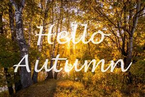 The words Hello Autumn on the background of trees with golden leaves. Greeting card. The concept of the beginning of autumn. photo