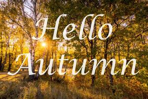 The words Hello Autumn on the background of trees with golden leaves. Greeting card. The concept of the beginning of autumn. photo