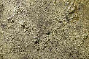 Texture of golden decorative plaster or concrete. Abstract gold grunge background. photo