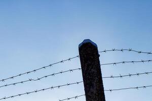 Barbed wire on the background of the sky. The concept of detention, border closure or prison. photo