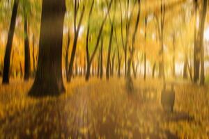Autumn park with sunshine and vertical motion blurr background. Fall season abstract. photo