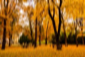 Autumn park vertical motion blurr background. Fall season abstract. photo