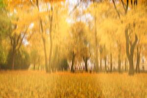 Autumn park with sunshine and vertical motion blurr background. Fall season abstract. photo