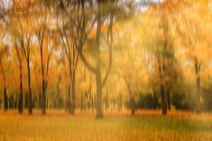 Autumn park with sunshine and vertical motion blurr background. Fall season abstract. photo