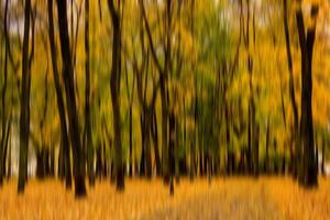 Autumn park vertical motion blurr background. Fall season abstract. photo