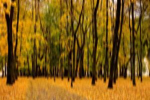Autumn park vertical motion blurr background. Fall season abstract. photo