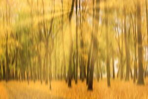 Autumn park with sunshine and vertical motion blurr background. Fall season abstract. photo