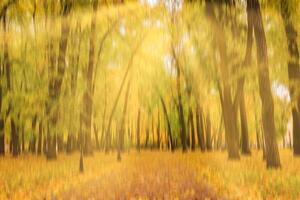 Autumn park with sunshine and vertical motion blurr background. Fall season abstract. photo