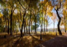 Autumn park vertical motion blurr background. Fall season abstract. photo